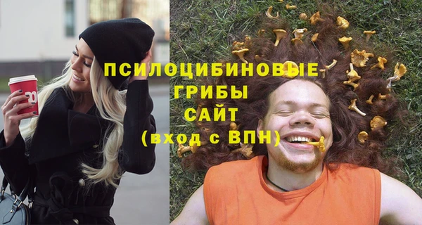 таблы Каменногорск