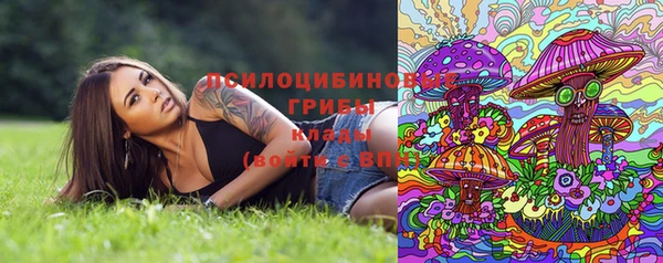 гашик Иннополис