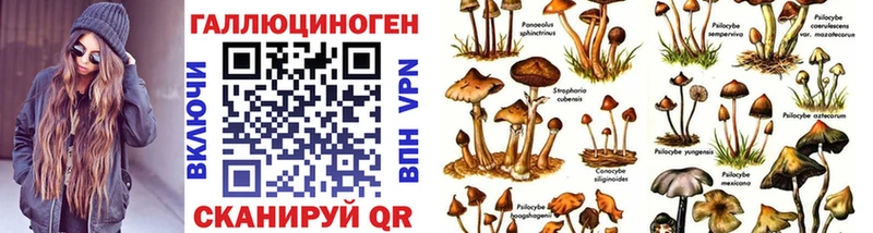 Псилоцибиновые грибы Psilocybine cubensis  Купить  Волгореченск 